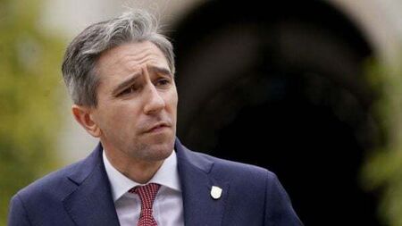 Asylum seekers with jobs should pay towards accommodation, Harris says