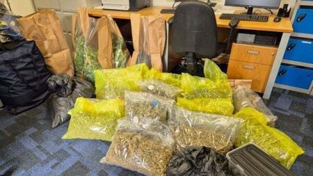 Man arrested as gardaí seize cannabis worth €350,000 in Monaghan