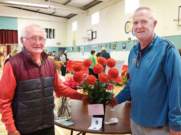 Martin Lawlor, Durrow with son-in-law Patrick Mason and his prizewinning flowers Martin Lawlor, Durrow with son-in-law Patrick Mason and his prizewinning flowers