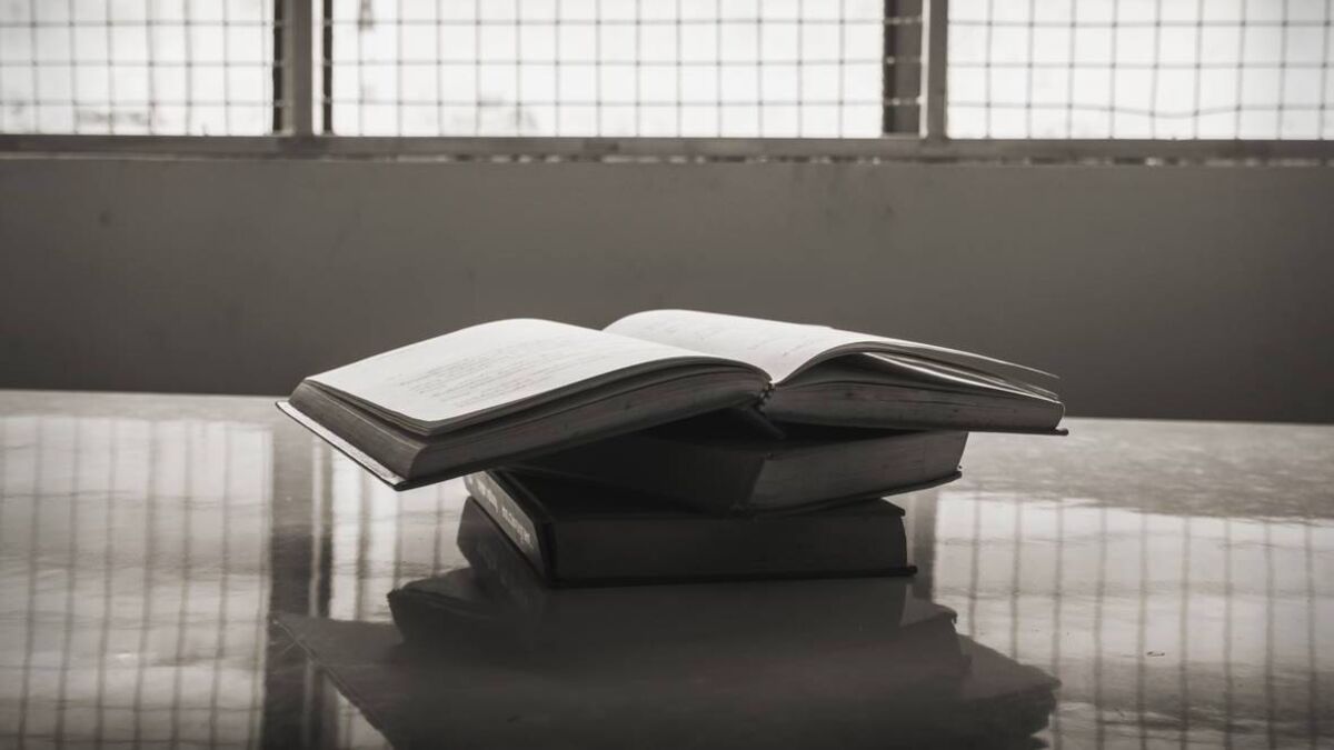 Well-read man 'does well in prison', Portlaoise court hears