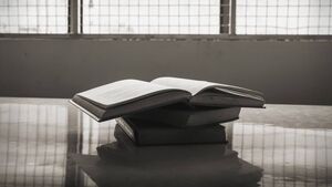 Well-read man 'does well in prison', Portlaoise court hears Well-read man 'does well in prison', Portlaoise court hears
