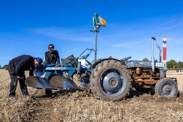 Thomas Beausang from Waterford assisted by his son Tommy getting in some practice for the European Vintage Ploughing 2024 at Ratheniska, County Laois. Photo: Alf Harvey. Thomas Beausang from Waterford assisted by his son Tommy getting in some practice for the European Vintage Ploughing 2024 at Ratheniska, County Laois. Photo: Alf Harvey.