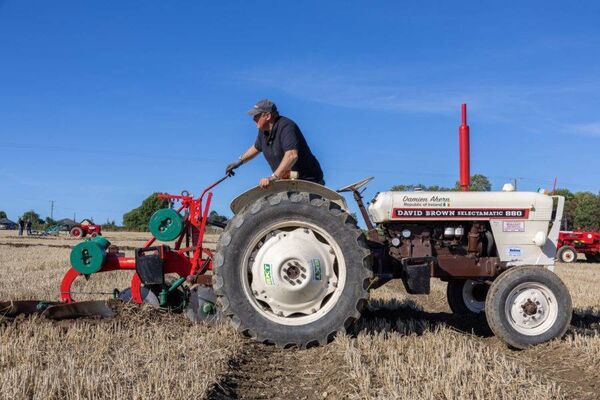 Damien Ahern from Cork East getting in some practice on Monday 16th September for the European Vintage competition at Ploughing 2024 at Ratheniska, County Laois. Photo: Alf Harvey. Damien Ahern from Cork East getting in some practice on Monday 16th September for the European Vintage competition at Ploughing 2024 at Ratheniska, County Laois. Photo: Alf Harvey.