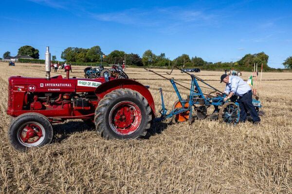 Pat Connolly from Kildare getting in some practice for the trailer European Vintage at Ploughing 2024 at Ratheniska, County Laois. Photo: Alf Harvey. Pat Connolly from Kildare getting in some practice for the trailer European Vintage at Ploughing 2024 at Ratheniska, County Laois. Photo: Alf Harvey.