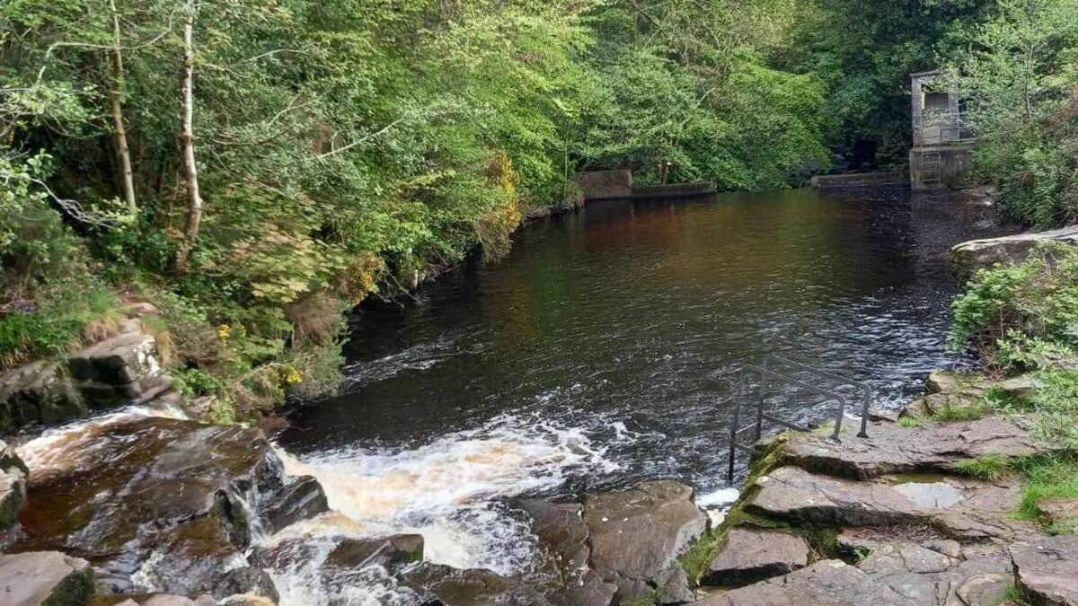 Man was a nuisance to swimmers at Laois tourist spot, court hears