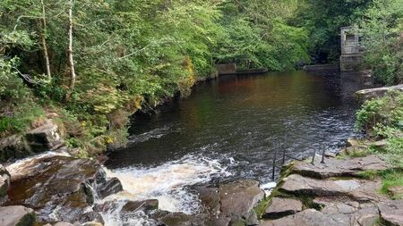 Man was a nuisance to swimmers at Laois tourist spot, court hears