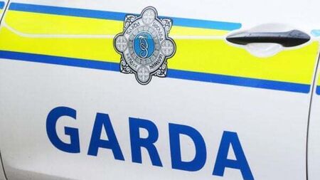 Gardaí appeal for witnesses following serious Co Kilkenny collision