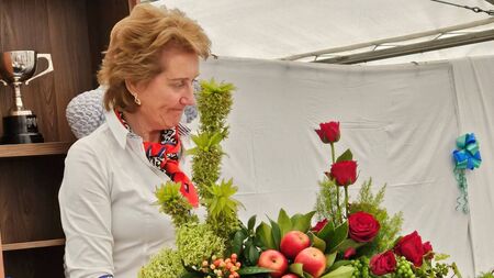 Laois ICA marquee was buzzing at National Ploughing Championships