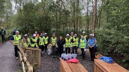 Laois engineering company volunteer at Abbeyleix Bog Project