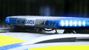 Three men arrested in Cork after 60 gardaí seize multiple weapons Three men arrested in Cork after 60 gardaí seize multiple weapons