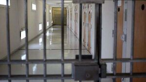 Man accused of hijacking a car and abducting a baby in Dublin remanded in custody