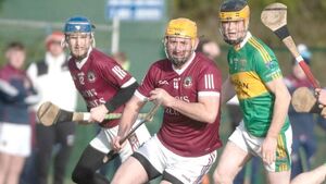 Senior status may be secured but Dwyer says Ballinakill’s sights are set on county title