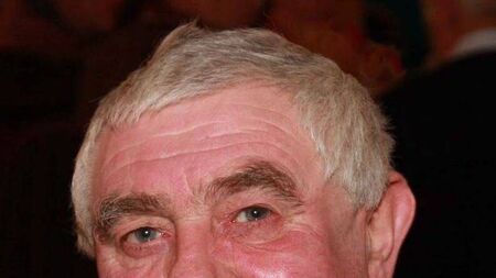 The death of Bosco Bartley Well Road, Portlaoise, Laois