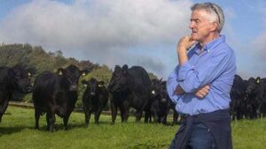 Michael O’Leary ‘astonished’ by green power of his farm’s solar panels Michael O’Leary ‘astonished’ by green power of his farm’s solar panels
