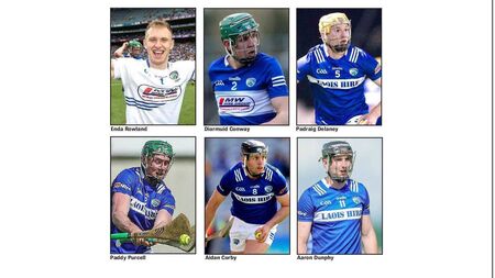 Six players from Laois have been named on the Joe McDonagh Cup Team of the Year