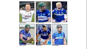 Six players from Laois have been named on the Joe McDonagh Cup Team of the Year