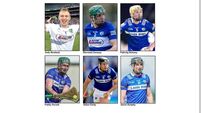 Six players from Laois have been named on the Joe McDonagh Cup Team of the Year