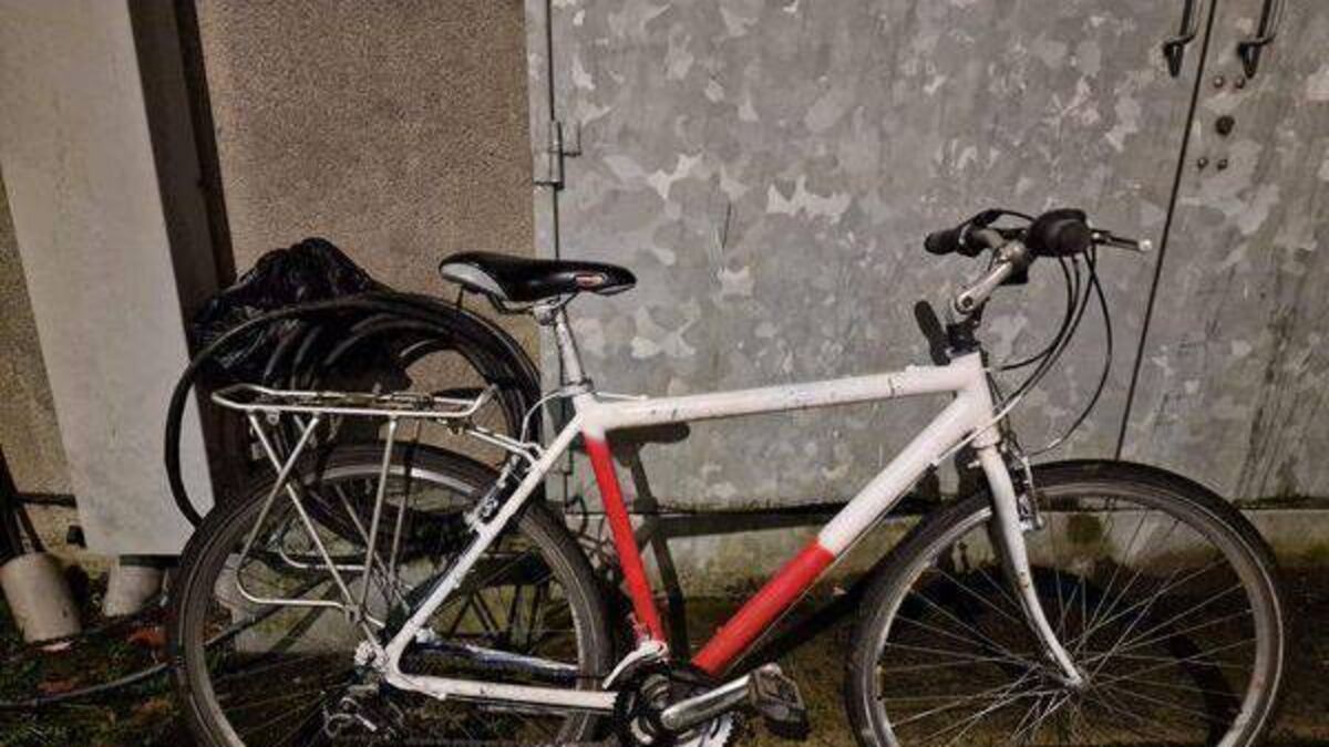 Portlaoise gardaí recover seven 'stolen' bicycles 