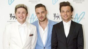 Niall Horan: I will cherish every moment with Liam Payne forever