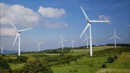 Renewables firm asks court to declare State has 'failed' to approve enough green energy projects