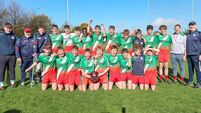 Quinlan masterclass fires Borris/Kilcotton to shield glory