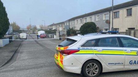 Woman arrested after man (30) dies following assault at house in Carlow