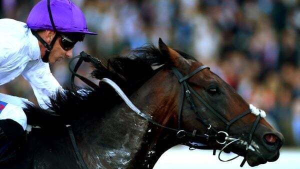 Dispute over ownership of €2.4m retired racehorse comes to court