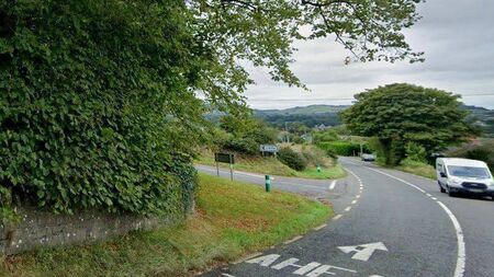 Dead dog delayed safety measures on a road in Laois for years