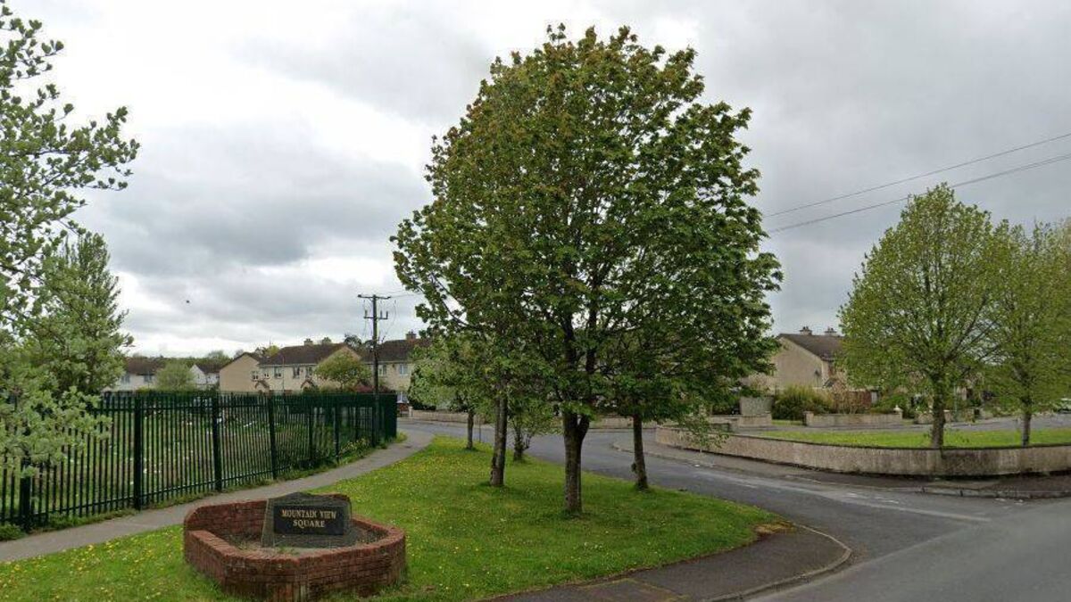 Trees in council estates around Portlaoise will be pruned when funding is available