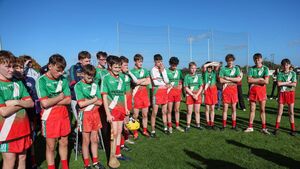 Photo Focus - U/15 Hurling Shield final won by Borris/Kilcotton Photo Focus - U/15 Hurling Shield final won by Borris/Kilcotton