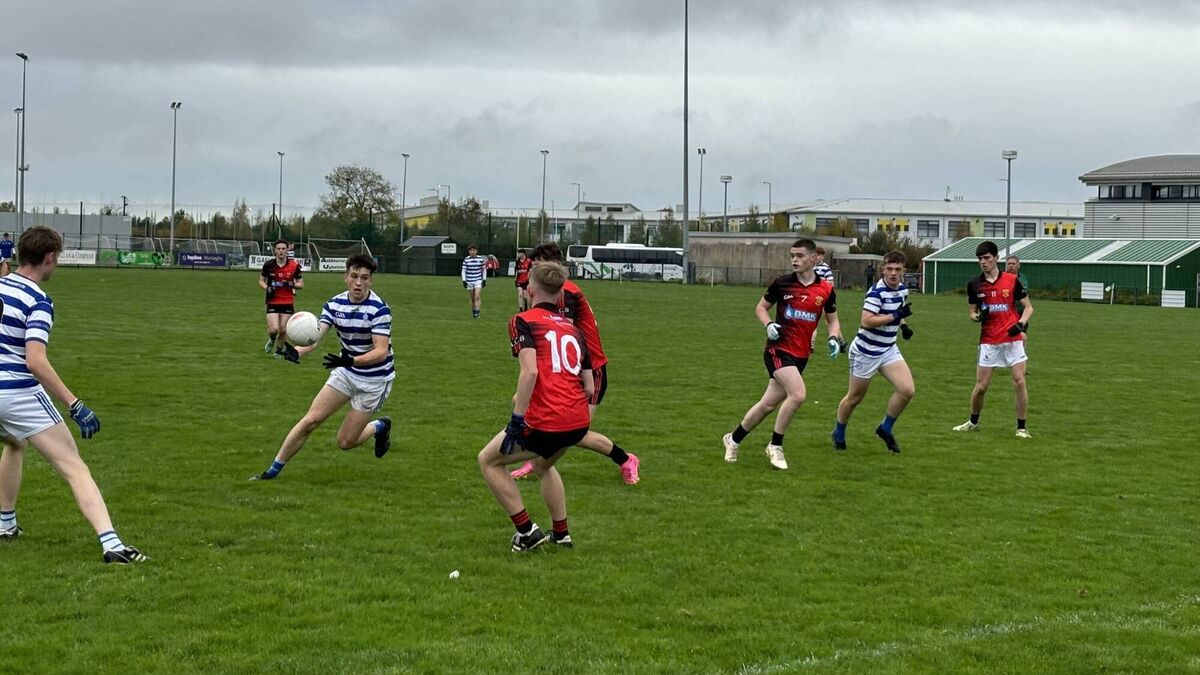 English and Ryan star in Knockbeg win