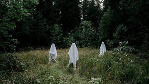 Poll: Do you believe in ghosts? Have you got a ghost story?