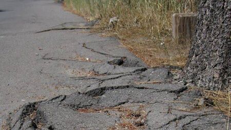 Concern over tree roots breaking through footpaths in Laois housing estates