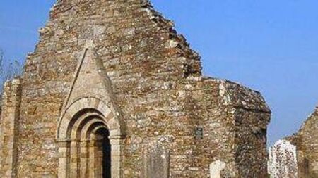 Newly discovered infants burial ground in Laois to be consecrated