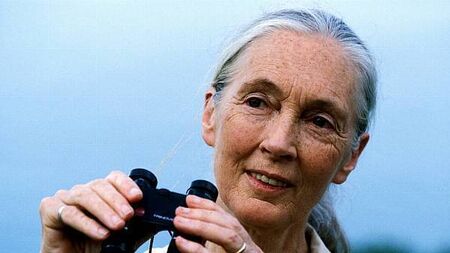 Leading environmentalist praises Bewley's coffee for sustainability projects