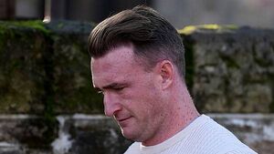 Former Scotland rugby captain Stuart Hogg admits domestic abuse Former Scotland rugby captain Stuart Hogg admits domestic abuse