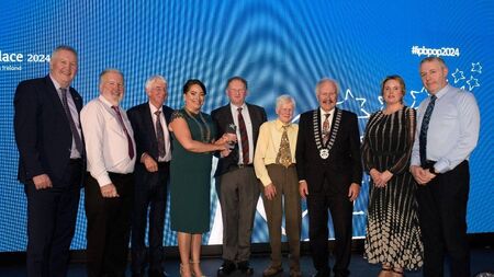 Abbeyleix Bog project wins Pride of Place award for biodiversity