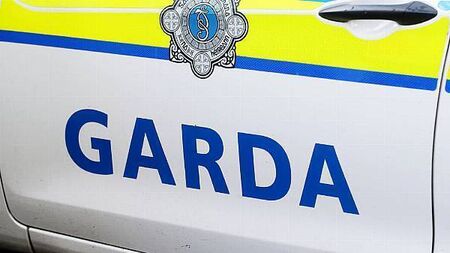 Garda injured in hit-and-run incident