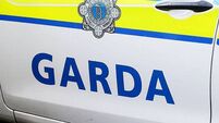 Garda injured in hit-and-run incident
