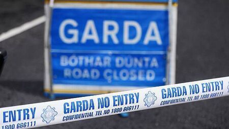 Man (40s) arrested in connection with hit-and-run in Co Kildare