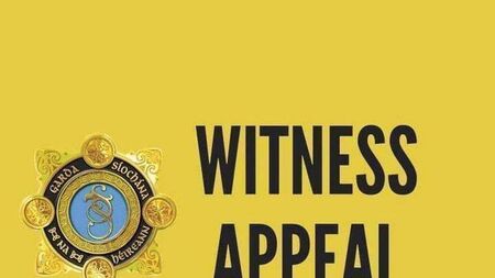 Abbeyleix Gardaí issue urgent appeal 