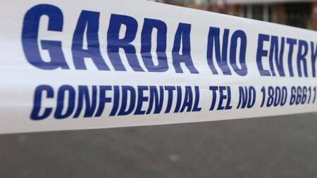 Man in his 30s arrested after man in his 60s found dead in a Laois hotel