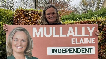 Shenanigans in Laois as election posters stolen claims one candidate