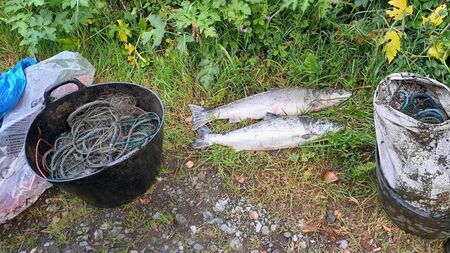Man convicted of illegally netting salmon on the River Nore