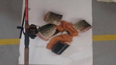 Angler fined for using live fish as bait to catch pike on the River Barrow