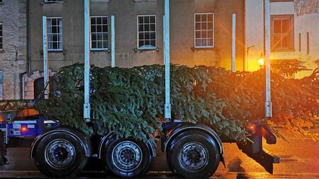 Mountmellick welcomes new Christmas tree