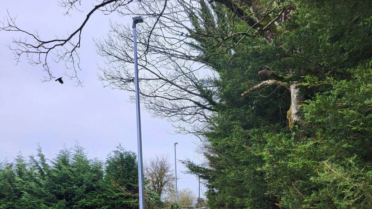 New footpath to Laois school means children are safe to walk the walk