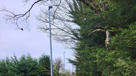 New footpath to Laois school means children are safe to walk the walk