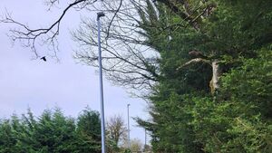 New footpath to Laois school means children are safe to walk the walk New footpath to Laois school means children are safe to walk the walk