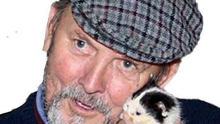 Death notice in Laois: Thomas Fox - Portlaoise